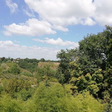 Nel Chianti Lungo La Francigena Lejlighed Colle di Val d'Elsa Eksteriør billede