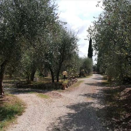 Nel Chianti Lungo La Francigena Lejlighed Colle di Val d'Elsa Eksteriør billede