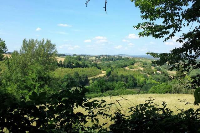 Nel Chianti Lungo La Francigena Lejlighed Colle di Val d'Elsa Eksteriør billede