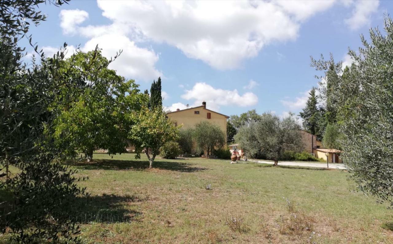 Nel Chianti Lungo La Francigena Lejlighed Colle di Val d'Elsa Eksteriør billede