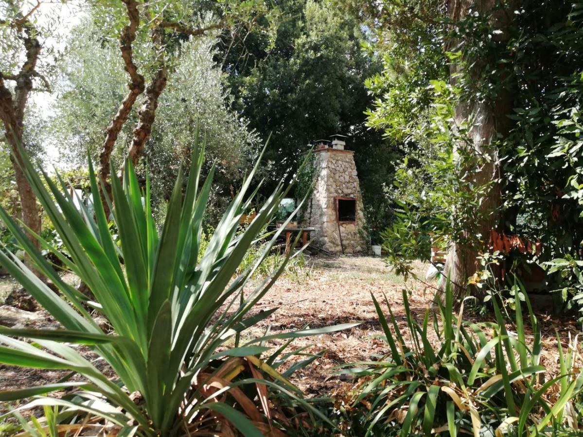 Nel Chianti Lungo La Francigena Lejlighed Colle di Val d'Elsa Eksteriør billede