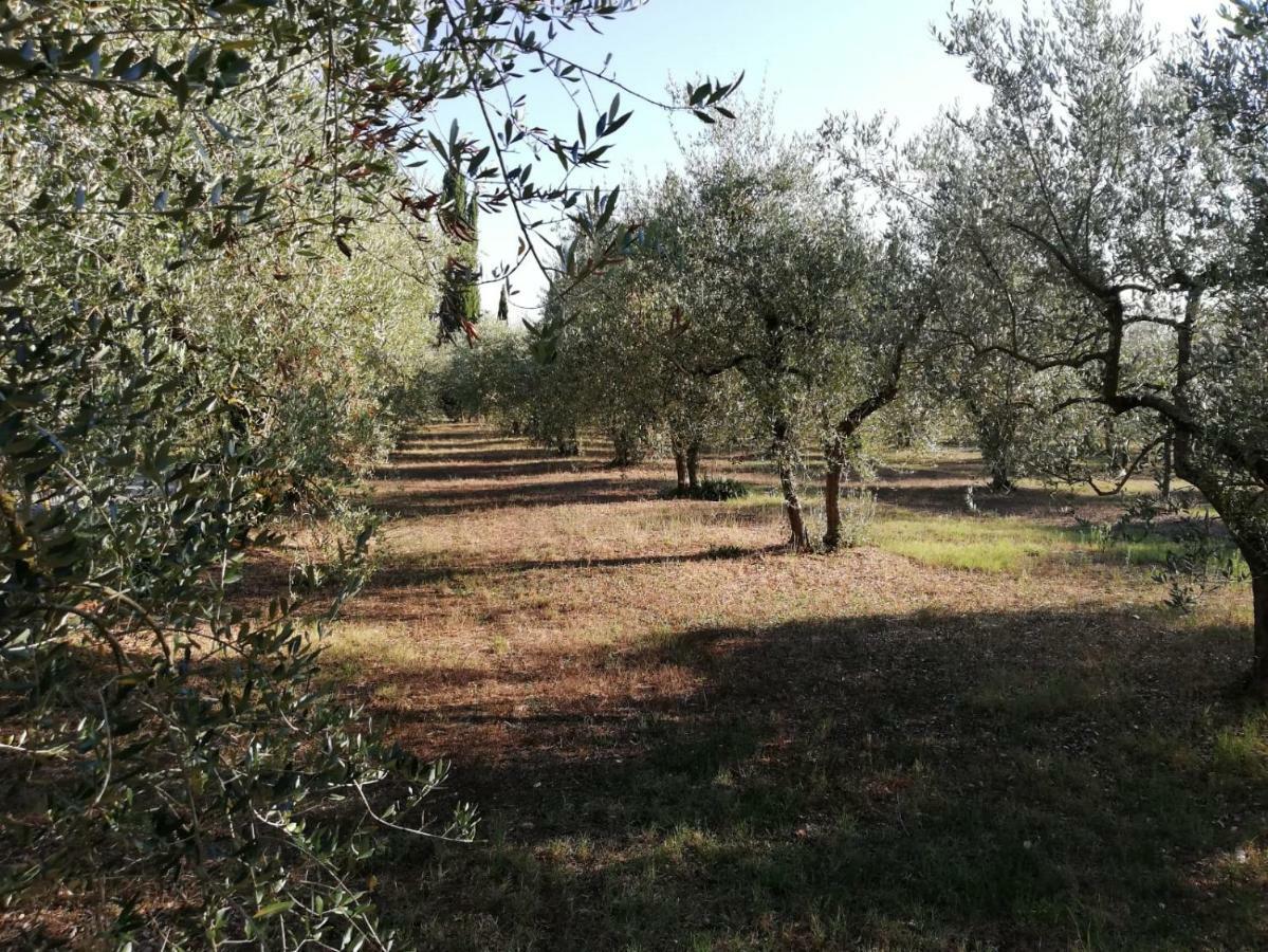 Nel Chianti Lungo La Francigena Lejlighed Colle di Val d'Elsa Eksteriør billede