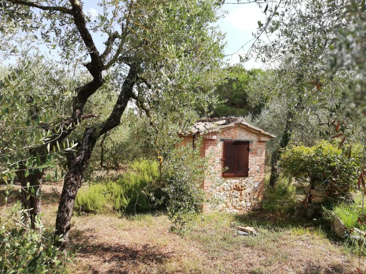 Nel Chianti Lungo La Francigena Lejlighed Colle di Val d'Elsa Eksteriør billede