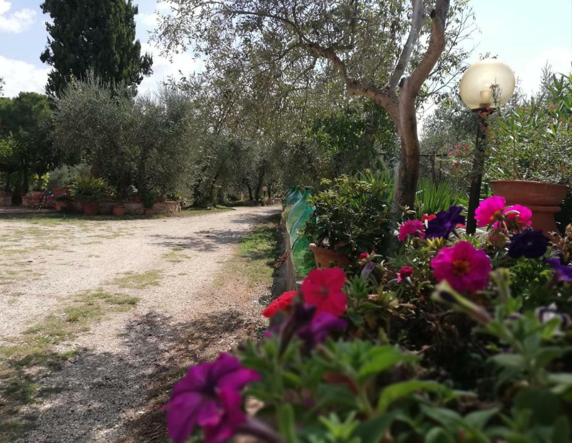 Nel Chianti Lungo La Francigena Lejlighed Colle di Val d'Elsa Eksteriør billede