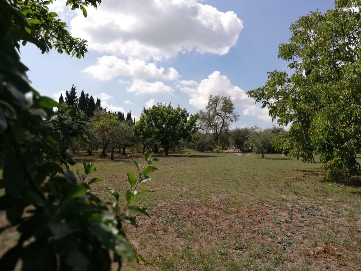 Nel Chianti Lungo La Francigena Lejlighed Colle di Val d'Elsa Eksteriør billede