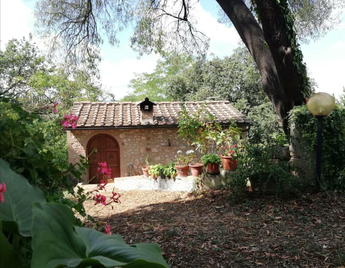 Nel Chianti Lungo La Francigena Lejlighed Colle di Val d'Elsa Eksteriør billede