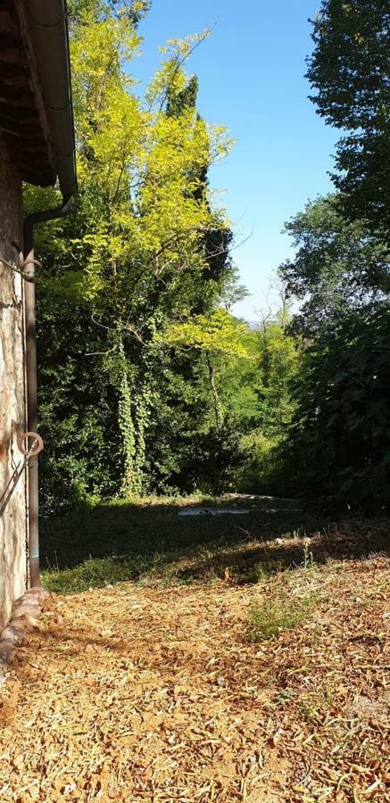 Nel Chianti Lungo La Francigena Lejlighed Colle di Val d'Elsa Eksteriør billede