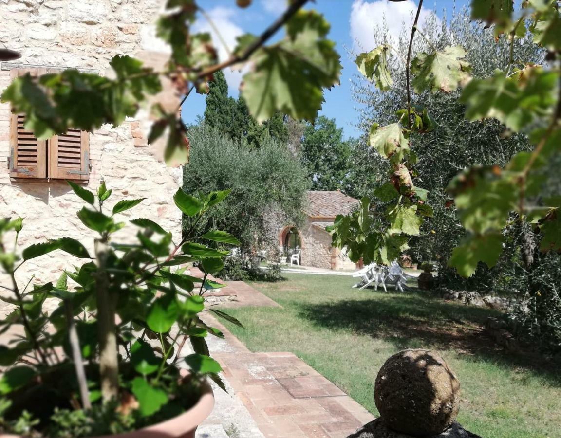 Nel Chianti Lungo La Francigena Lejlighed Colle di Val d'Elsa Eksteriør billede