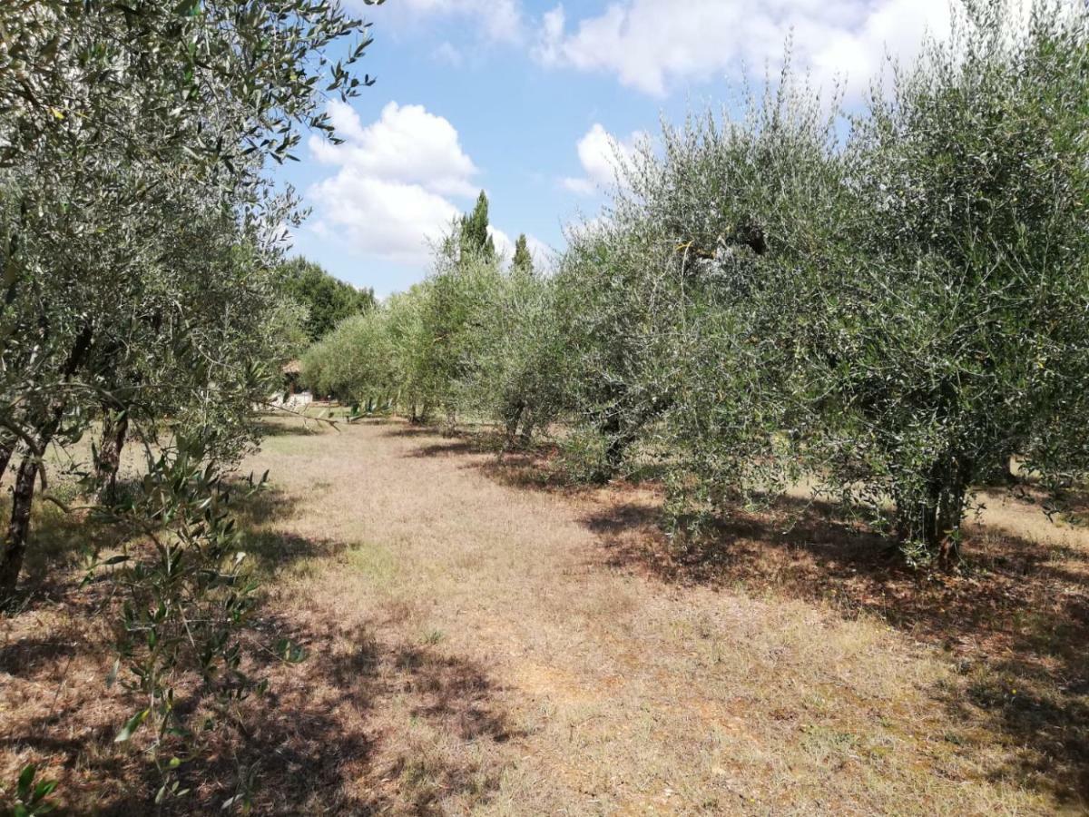 Nel Chianti Lungo La Francigena Lejlighed Colle di Val d'Elsa Eksteriør billede