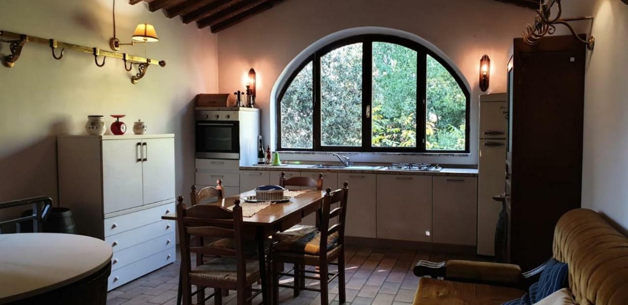Nel Chianti Lungo La Francigena Lejlighed Colle di Val d'Elsa Eksteriør billede